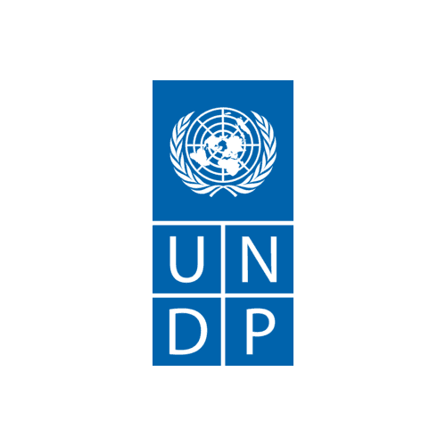 Logo PNUD